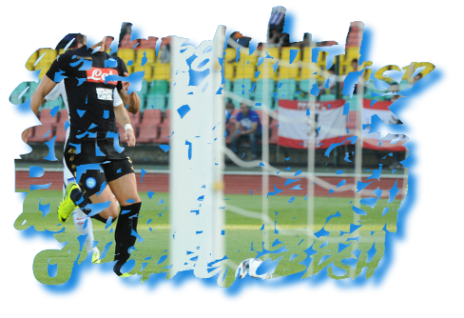 Amichevoli Napoli 2015/2016